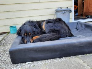 IMG-20210418-WA0013